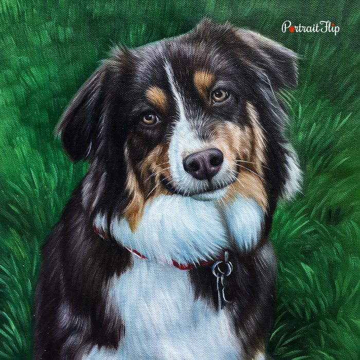 Australian Shepherd puppy oil pet portrait painted on green grass